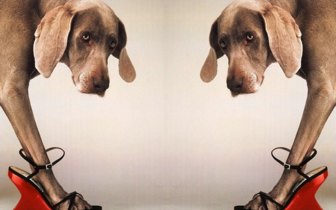 William Wegman