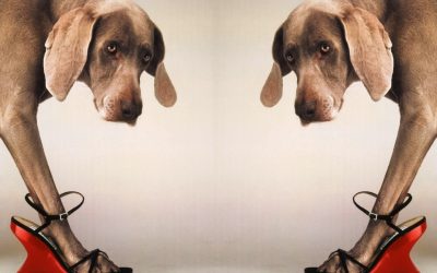 William Wegman