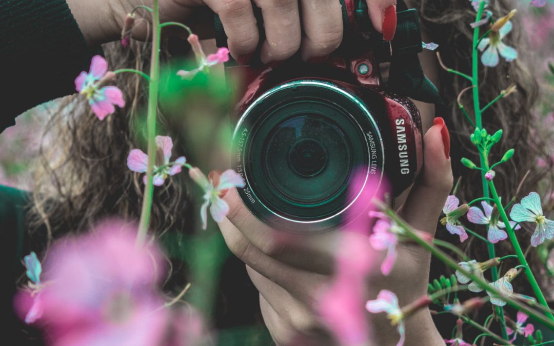 MIP: Fotografías destacadas de Junio ‘19