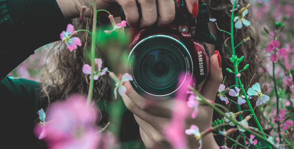 MIP: Fotografías destacadas de Junio ‘19
