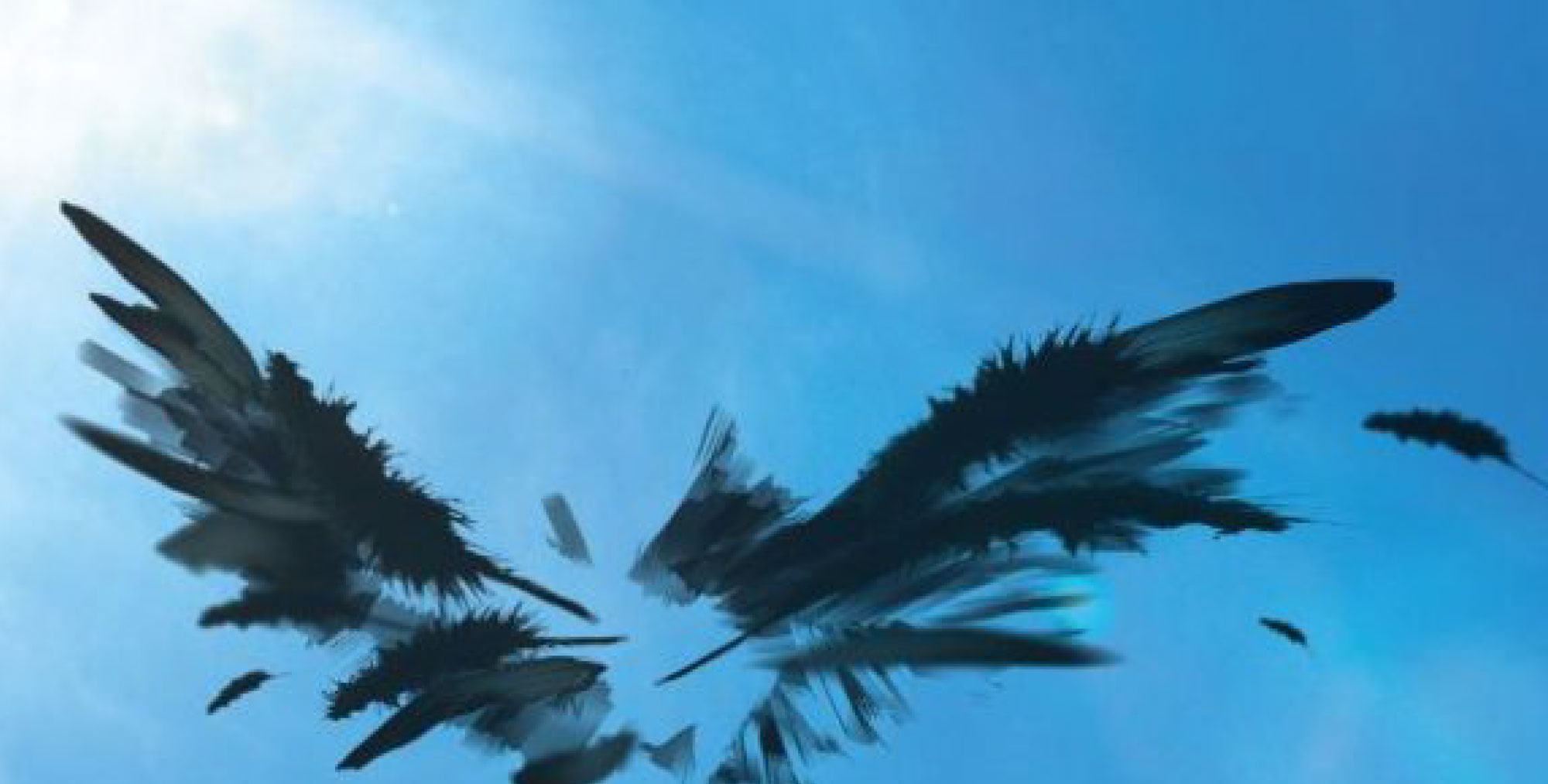Los cielos de curumo