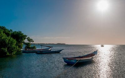 La luna de miel: O la posibilidad de que también llueva en la playa