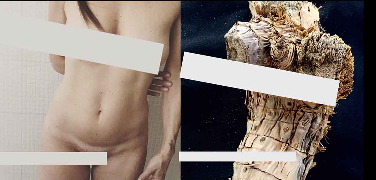 CeNsura, by Re Barbus + Baruffetty