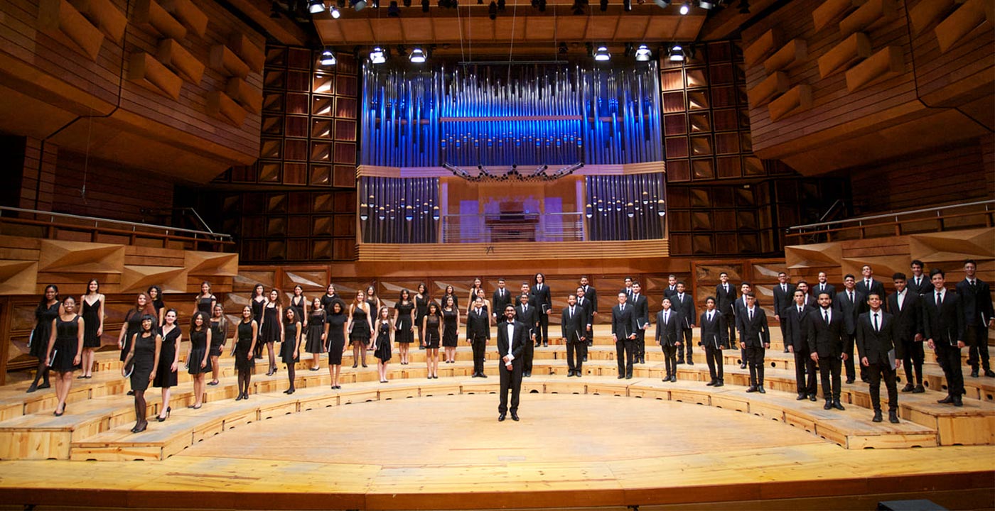 Johann Montenegro, la multiplicidad de la música