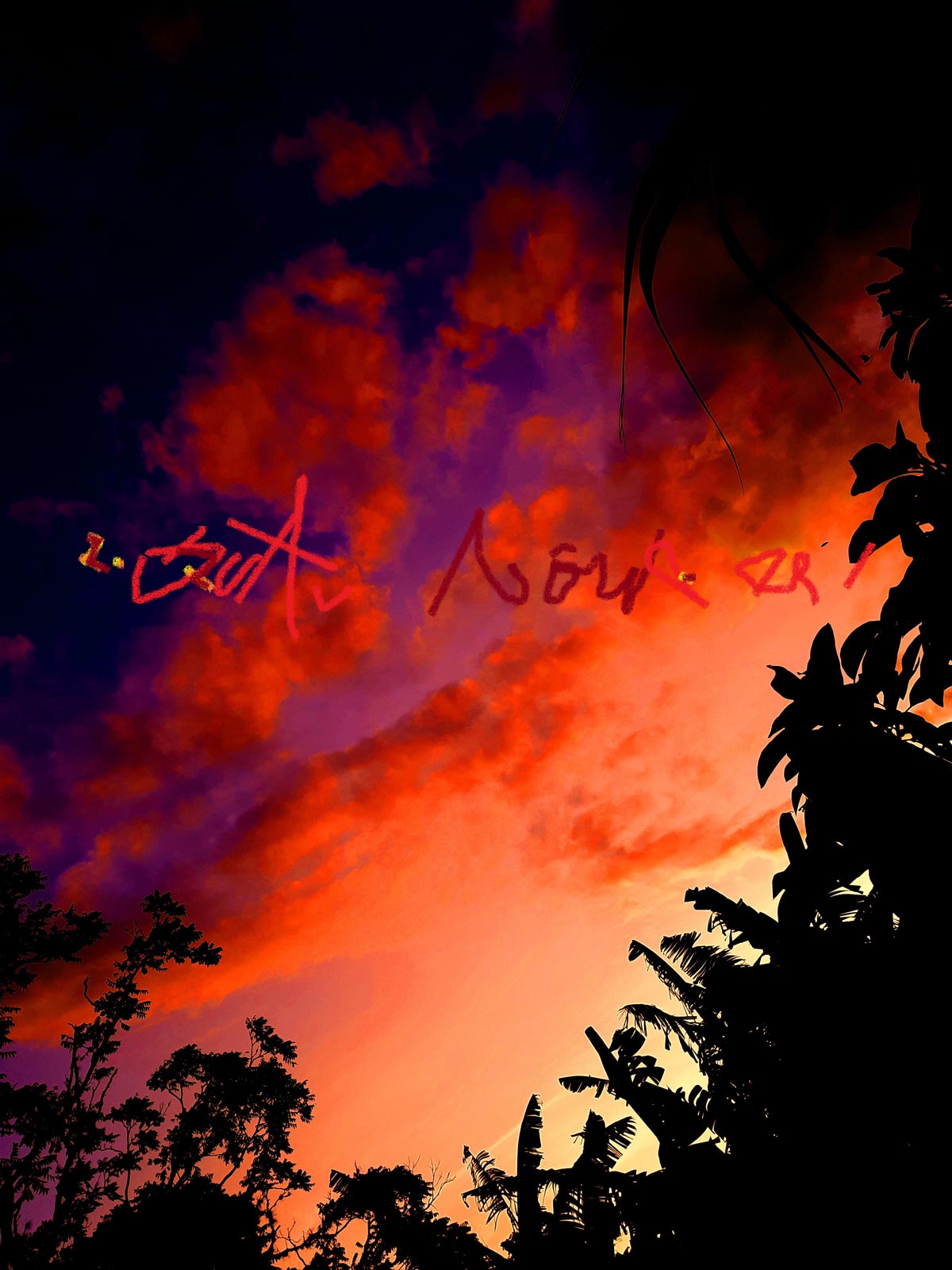 Otro-bosque-(2020)---ER