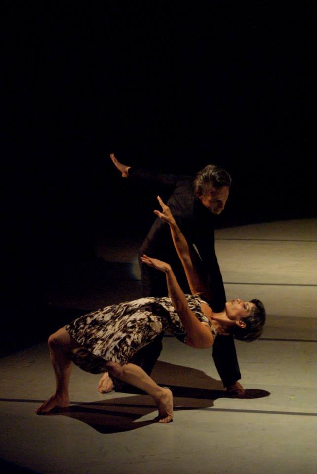 cdc-danzart---arte-en-movimiento-19_11754186796_o (2)