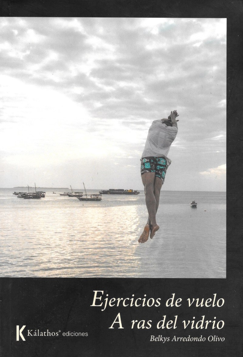 Ejercicios de vuelo - Portada