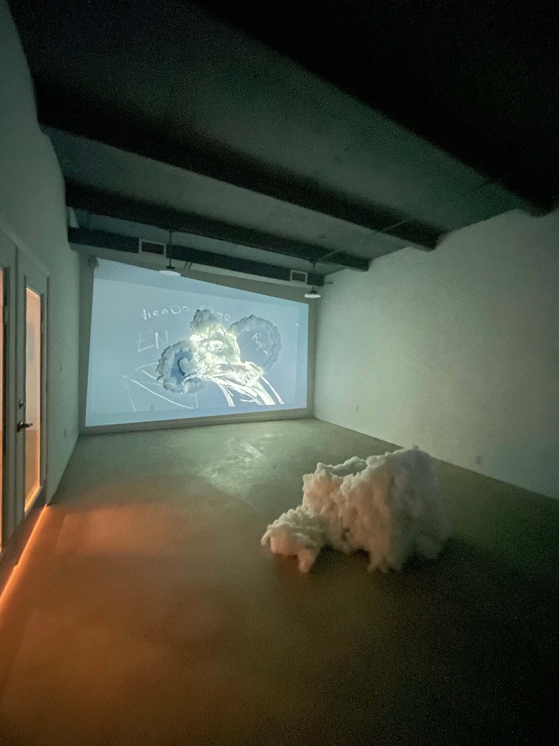 MEMORIA_DE_UN_AMOR_INSTALLATION002