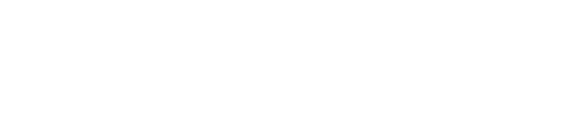 Arts connection foundation logo