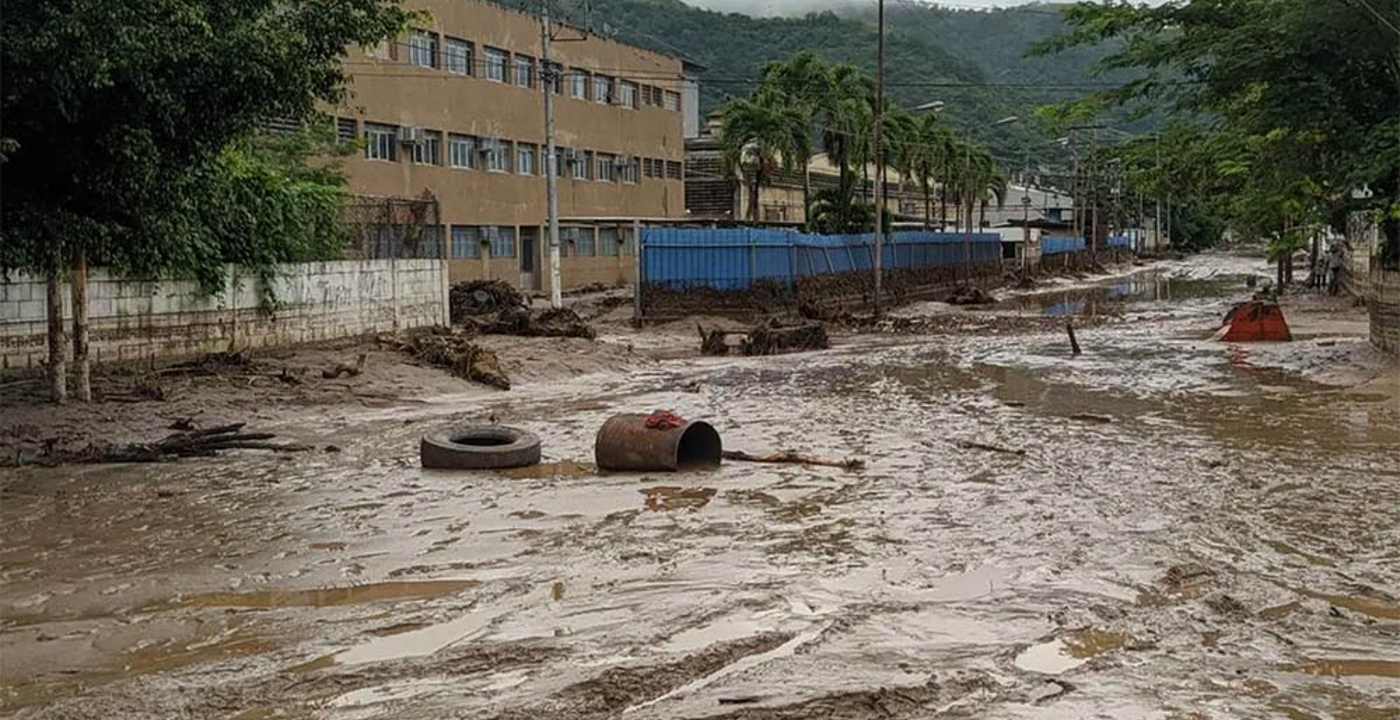 A la sombra de un Castaño