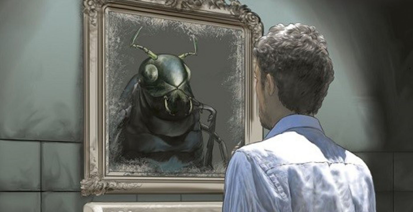 La danza de los insectos