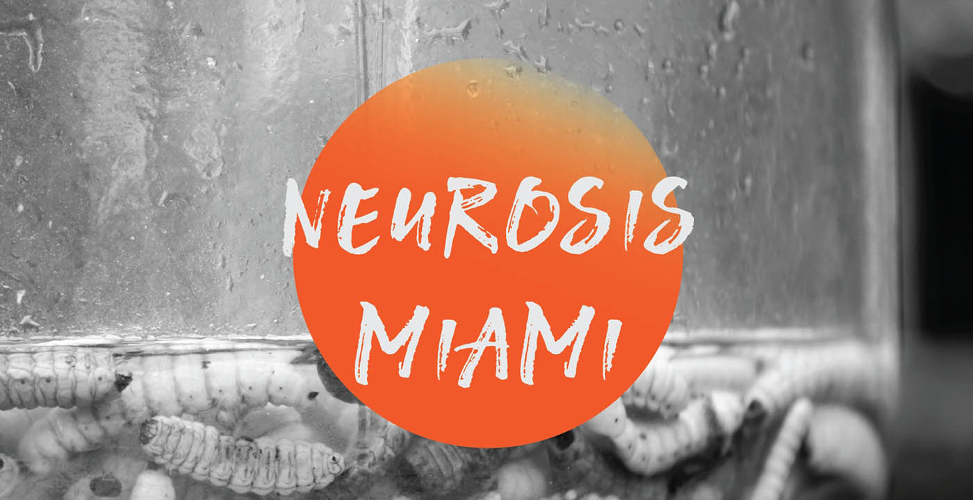 La novela que tanto esperó Sonny Crockett