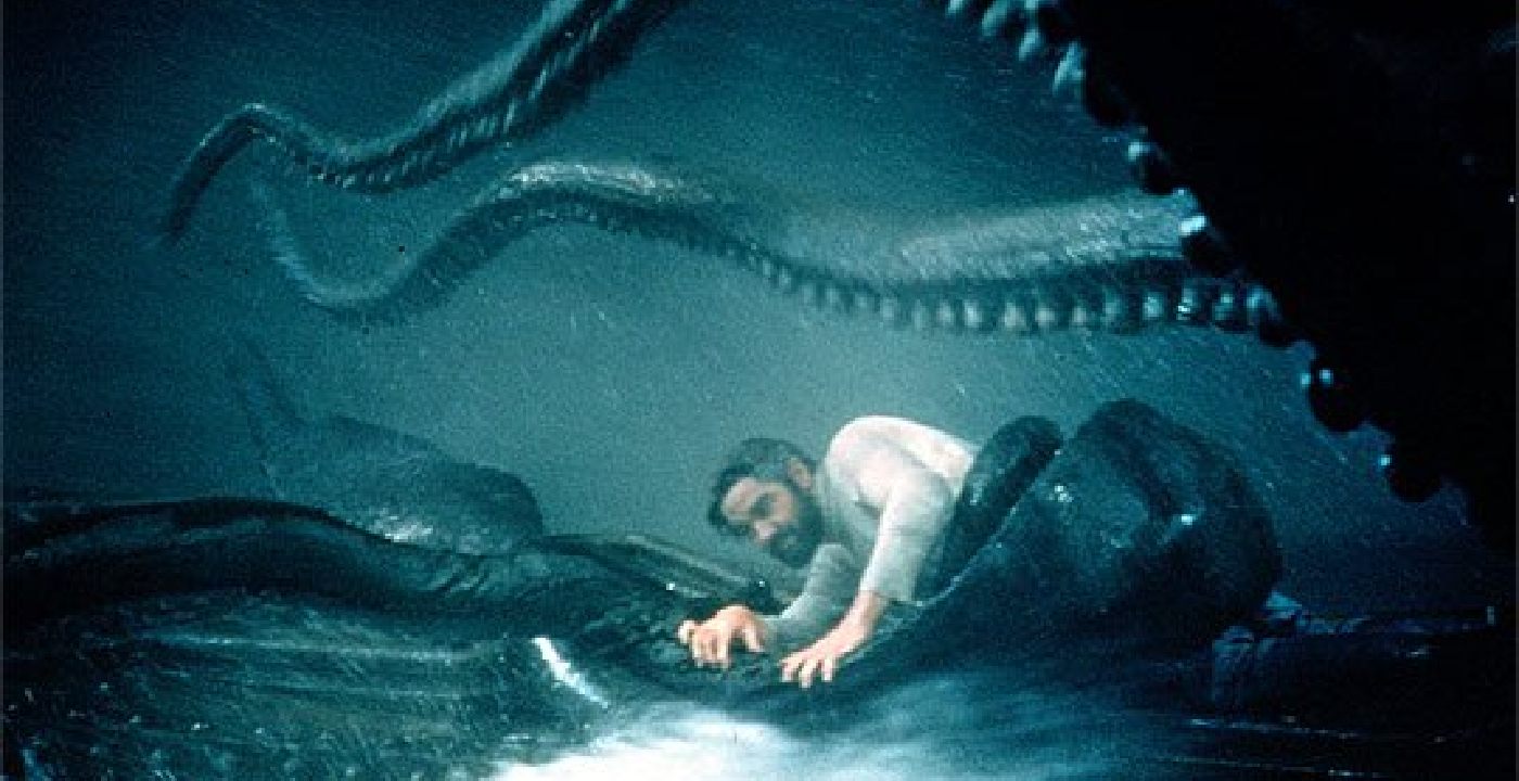 Entre la realidad y la ficción