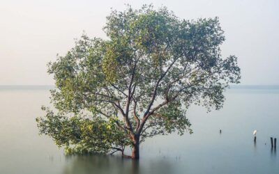 «Entre Dos Aguas», la integración de dos culturas | Exposición del fotógrafo venezolano Jesús Salazar