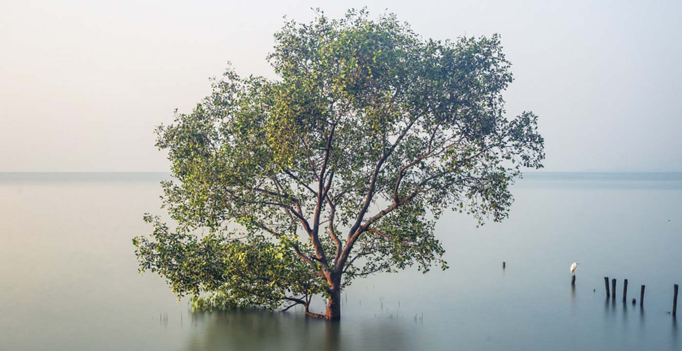 «Entre Dos Aguas», la integración de dos culturas | Exposición del fotógrafo venezolano Jesús Salazar