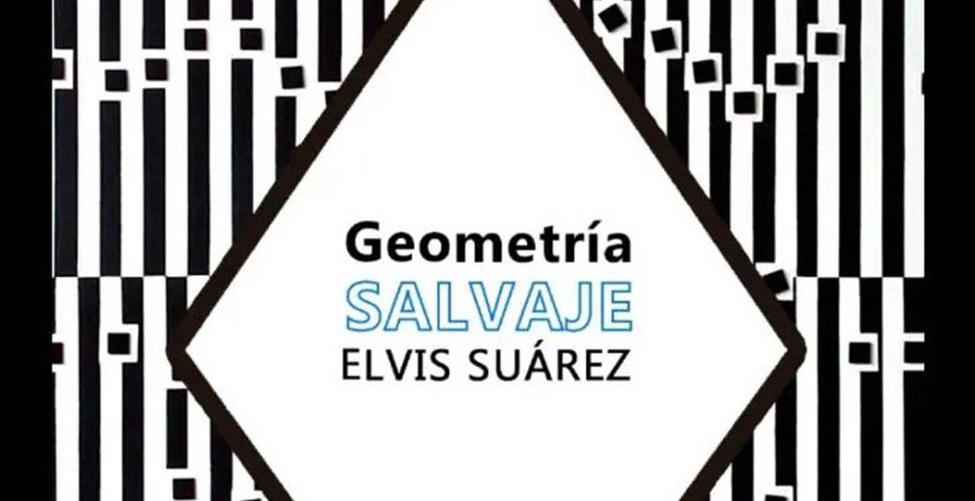 El Neocinetismo Musical de Elvis Joan Suarez en Bogotá | Galería Adrián Ibáñez
