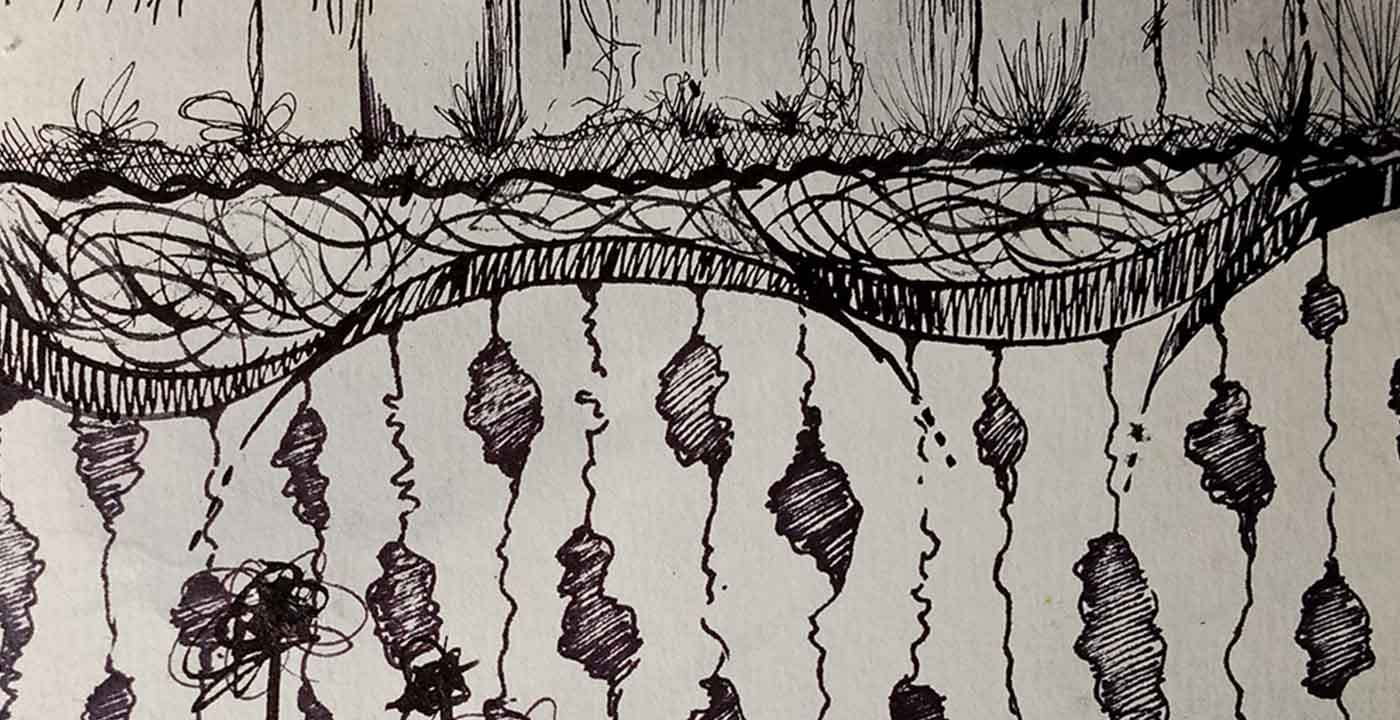 Lineamientos Ensamblados | Metamorfosis de una obra