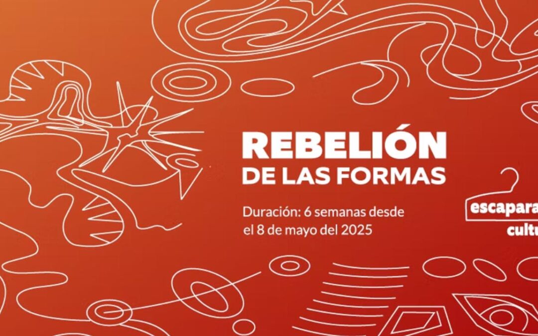“La rebelión de las formas” conversación con Patricia Velasco