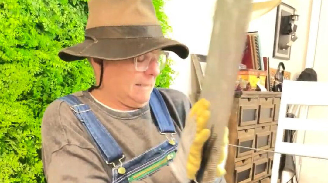 Entrevista con Orlando Urdaneta: El Actor, el Pintor