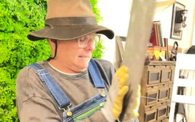 Entrevista con Orlando Urdaneta: El Actor, el Pintor