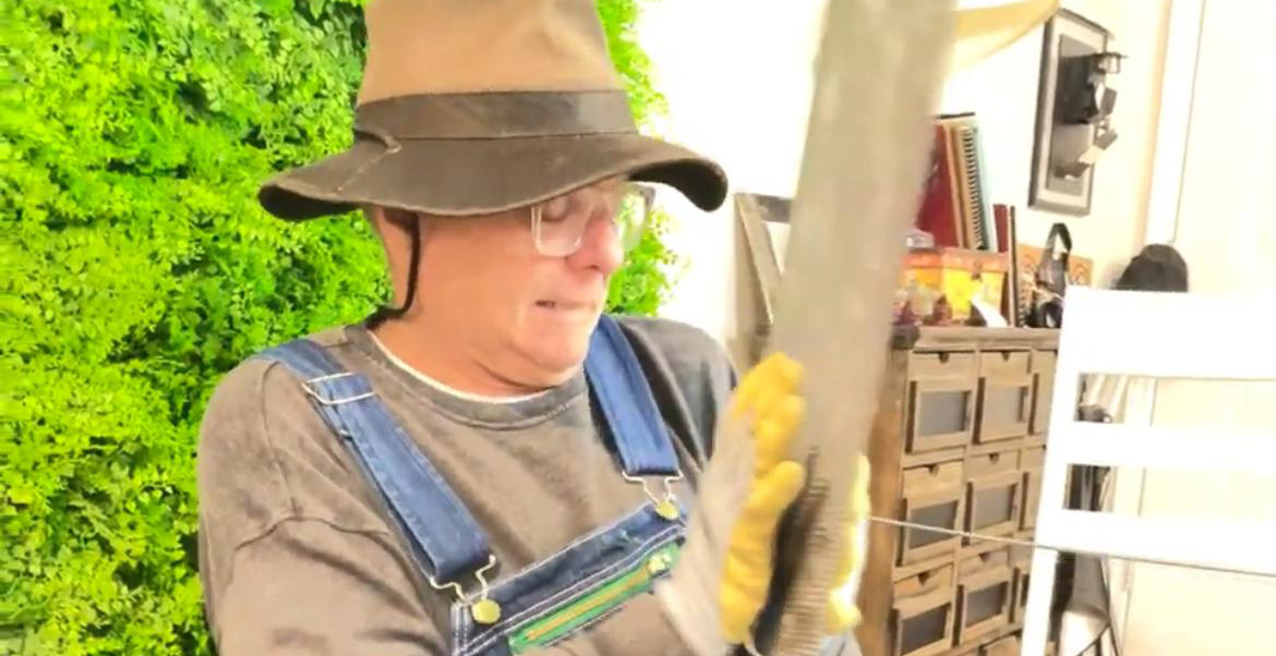 Entrevista con Orlando Urdaneta: El Actor, el Pintor