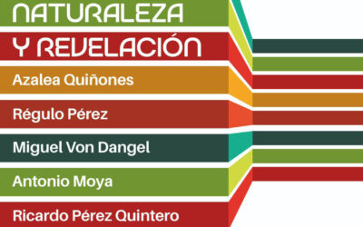 “Tiempo, naturaleza y revelación” | Galería Blasini  Morrison