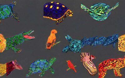 Arte, Ecología y Ciudadanía: «Elías el cachicamo», la apuesta de Espacio Anna Frank para el futuro de los niños venezolanos