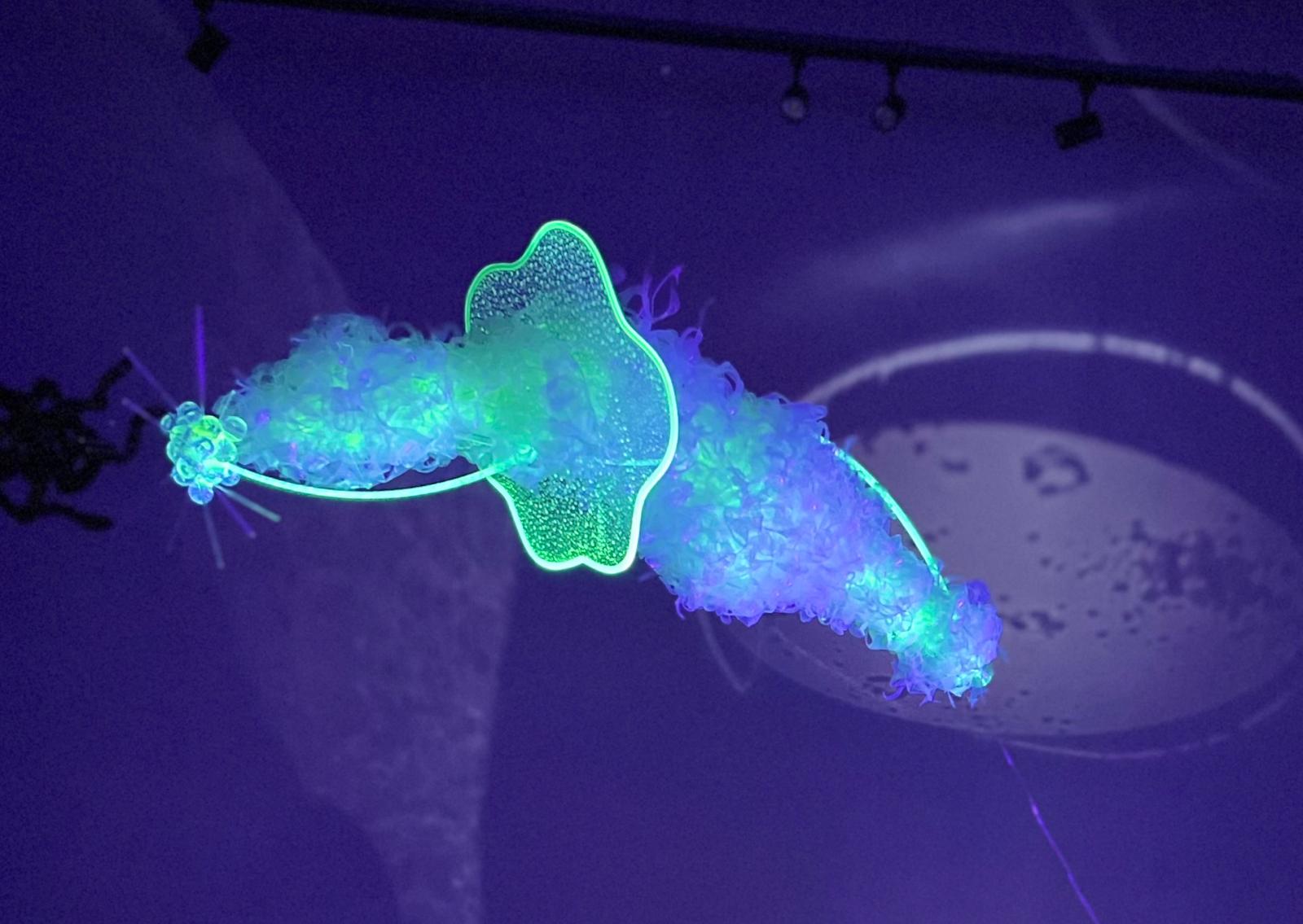 Una despedida luminosa: Arts Connection Foundation cierra su ciclo con la exposición Particular Perspectives