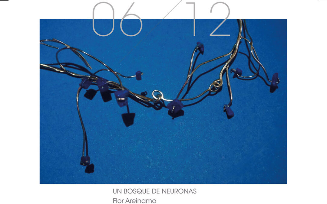 Exposición “Un Bosque de Neuronas” Flor Areinamo | Galería ABRA