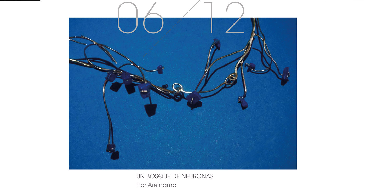 Exposición “Un Bosque de Neuronas” Flor Areinamo | Galería ABRA