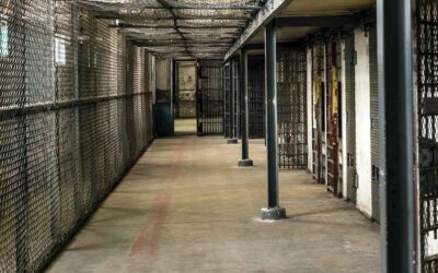 De hartazgos sabemos todos | Manifiesto GenX