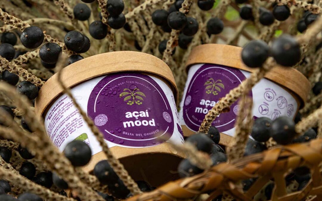 Proyecto “Manaca del Delta” premiado por el programa Eco Innovation