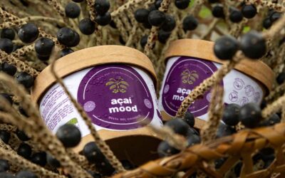 Proyecto “Manaca del Delta” premiado por el programa Eco Innovation